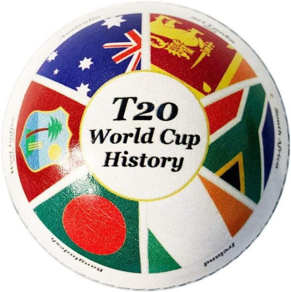 CE Cricket Balls White Red Pink T20 ODI Cricket Matches Tournaments Practice - Image 21