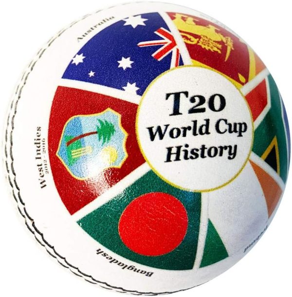 CE Cricket Balls White Red Pink T20 ODI Cricket Matches Tournaments Practice - Image 23